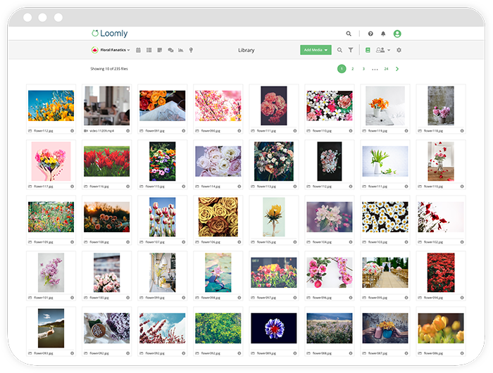 Loomly library screenshot