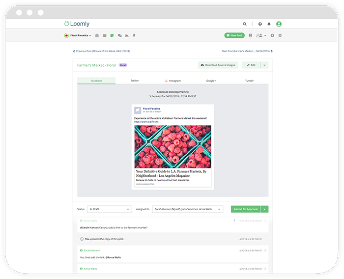 Loomly post view screenshot