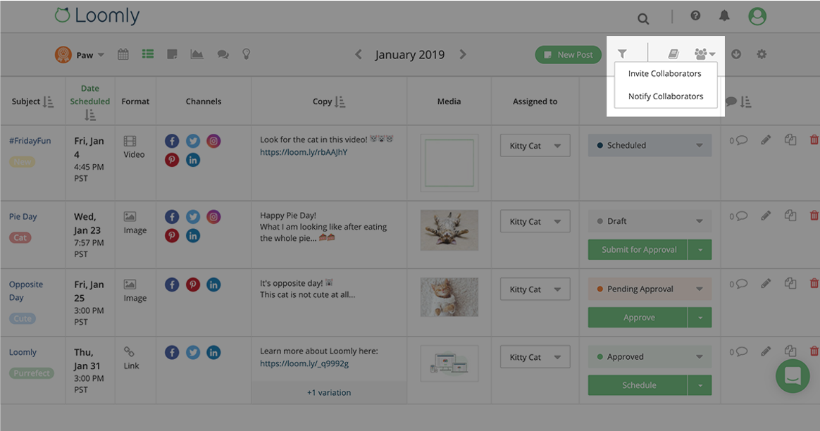 Social media calendar use cases freelancers step four screenshot